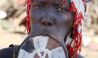 象人族图片 象人族图片